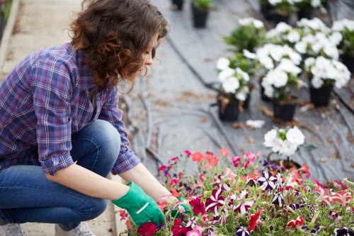 Technician preparing to perform corrective hedge trimming